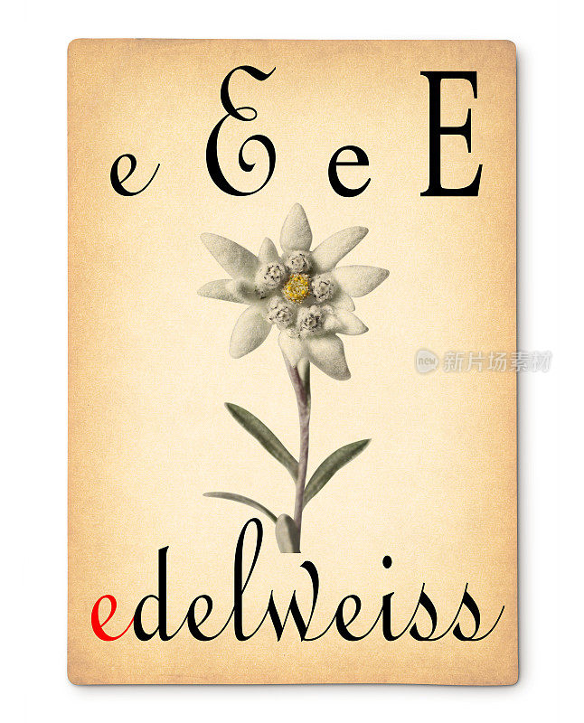 字母E -雪绒花。老式的字母卡片。